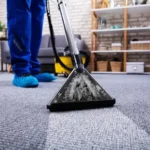Who Offers Professional Carpet Cleaning in Warren, MI?