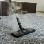 Who Provides Professional Carpet Cleaning in Canton, MI?